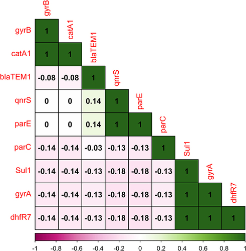 Figure 5 CorrPlot correlations between first-line and second-line antibiotic-resistant genes. Positive and negative correlations are represented by green and purple colors respectively. The shades of the color reflect the strengths of correlation between pairs of genes. Colors range from bright green (strong positive correlation; ie rs = 1.0) to bright purple (strong negative correlation; ie rs = −1.0).