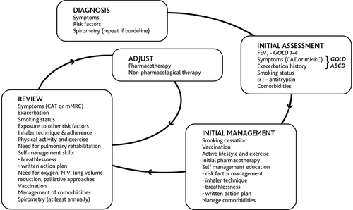 Figure 2 Management of COPD.