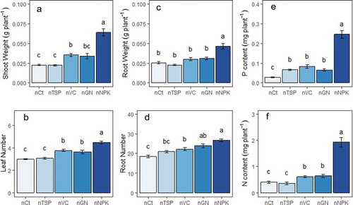 Figure 1. Data from seedlings sampled on the day of transplanting (30 days after sowing): shoot weights (a) and leaf number (b) root weights (c) and number (d), P (e) and N (f) contents of seedlings from nursery plots affected by different types of fertilizers. Values are mean of all three fields (n = 6), error bars are standard errors and letters represent significant differences between nursery treatments within each field treatment. For shoot weight was log-transformed and square-root transformed for P content and N content and the statistical analysis performed on the transformed data. Nursery mean data shown is non-transformed data