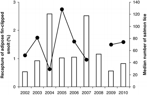 Figure 7. Recaptures of adipose fin-clipped smolts after control of ascending anadromous brown trout in the River Guddalselva (bars) and median salmon lice numbers on anadromous trout controlled in four estuaries in the Hardangerfjord (circles and line).