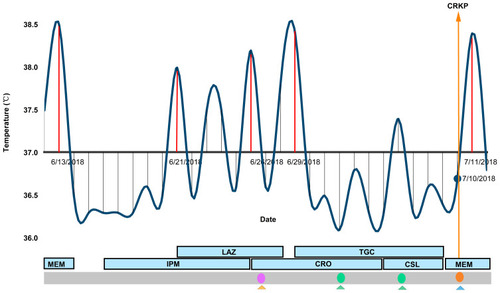 Figure 1 The distribution of temperature and medication. Blackline indicates the temperature of each day; the red line indicates the temperature ≧ 38°C; orange arrow line indicates the date of the isolation of carbapenem-resistant klebsiella pneumoniae strain; blue block indicated the medication during the hospitalization. Pink circle indicate isolated baumanii strains; green circles indicated baumanii and enterobacter cloacae strains; orange circle indicated carbapenem-resistant klebsiella pneumoniae strain. Triangles indicate types of samples (yellow denotes sputum, blue denotes alveolar lavage fluid, green denotes throat swab).