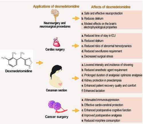 Figure 3 The application of dexmedetomidine in some major surgical procedures. The figure presents a summary of desirable effects exhibited by dexmedetomidine in some selected surgical procedures.