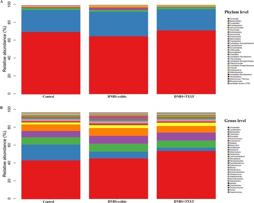 Figure 2. Relative abundance of microbial community in each group. (A) Microbiota composition at the phylum level. (B) Microbiota composition at the genus level. The x-axis indicated the sample name, and the y-axis indicated the relative abundance of the annotated species.