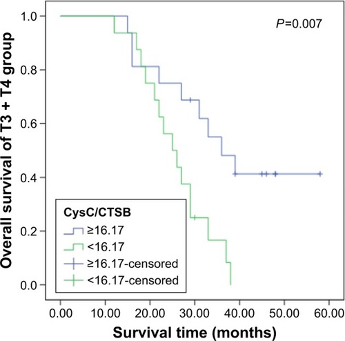 Figure 2 Kaplan–Meier curve of overall survival for patients in T3 + T4 group with low and high levels of CysC/CTSB.