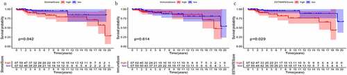 Figure 2. Correlation of scores with survival in TGCT patients. (a) Kaplan-Meier survival curve for StromalScore, log-rank test p = 0.045. (b) Kaplan-Meier survival curve for ImmuneScore, log-rank test p = 0.193. (c) Kaplan-Meier survival curve for ESTIMATEScore, log-rank test p = 0.089