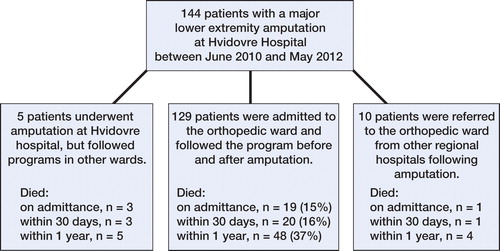 Figure 1. Flow chart of amputee patients at Hvidovre Hospital, from 2010 to 2012.