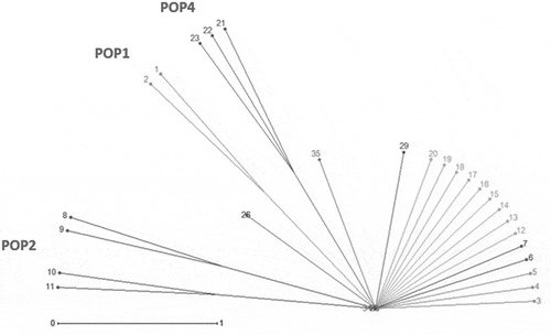 Figure 11. Consensus tree of morphological and molecular data in G. pusillum populations.