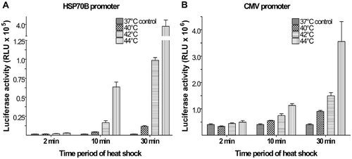 Figure 3. Inducible gene expression using HSP70B promoter. Plasmids using the HSP70B promoter (a) showed low background activity at 37°C but large increases in luciferase expression upon heat shock compared to the CMV promoter (b). The maximum increase in HSP70B promoter-controlled luciferase expression of 250-fold was observed with heat shock of 44°C for 30 min. A heat shock of 42°C for 30 min provided an increase in luciferase activity by more than 60-fold over background. Values shown are means of relative light units (RLU) (±SEM) of triplicate experiments.