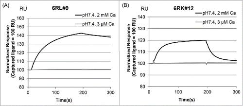 Figure 2. Calcium-dependent antigen-binding profile of 6RL#9 and 6RK#12. Calcium-dependent antigen binding of 6RL#9 (A) and 6RK#12 (B) was evaluated by SPR analysis.