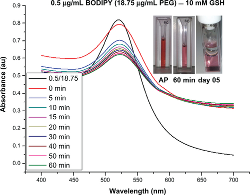 Figure S9 Ultraviolet-visible absorbance spectra for stability of gold nanoparticles conjugated with BODIPY®-PEG (0.5–18.75 μg/mL), and stability in 10 mM glutathione (GSH). As prepared (AP) sample and in GSH after 60 minutes and on day 5.Abbreviations: PEG, poly(ethylene glycol).
