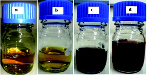 Figure 1. Ag NPs prepared with (a) magnetic stirrer and (b) ultrasonicator. His–Ag NPs prepared by (c) magnetic stirrer and (d) ultrasonicator.