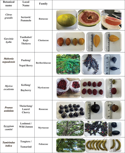 Figure 1. Seven (7) wild edible fruits of Mizoram.