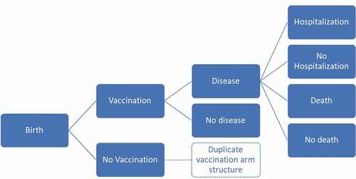 Figure 1. Decision tree structure to model rotavirus, varicella or pneumococcal disease