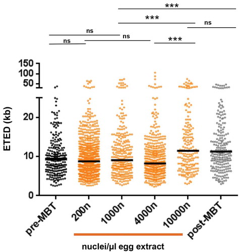 Figure 5. Increase of DNA:cytoplasm ratio in vitro recapitulates increase of eye-to-eye distances after the MBT in embryos.Scatter dot plots of eye-to-eye distance (ETED) distributions from the in vitro egg extract system (orange) with different nuclei concentrations (200–10,000 nuclei/µl) at mid S phase (R 25–53%) are compared to ETED distances distribution from pre- and post-MBT extracts (black and grey, respectively). The horizontal black bars are the medians. Mann–Whitney test, ns not significant, significant *, **, ***, P-values see text.