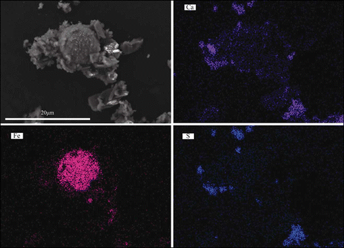 Figure 6. EDX X-mapping image and scanning electron micrograph of a Fe-containing aluminosilicate fly ash surrounded by several calcium sulfate particles.