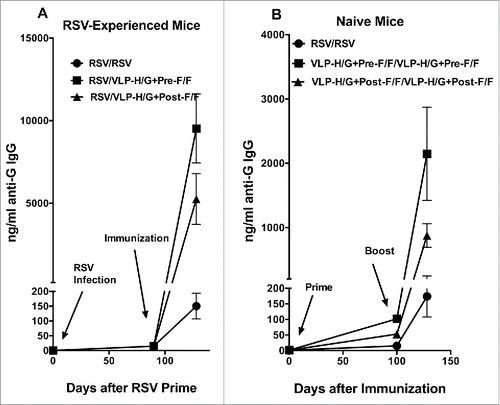 Figure 5. Total anti-G protein antibody in animal sera. Total anti-G protein IgG was measured in ELISA using as target soluble G protein. Panel A shows ng/ml of anti-G protein IgG at different times in RSV-experienced animals. The results are the average of 4 separate determinations with average and standard deviations shown. At day128, p value for the difference between RSV/VLP-H/G+Pre-F/F and RSV/VLP-H/G+Post-F/F immunization was 0.0057, the p value for the difference between RSV/VLP-H/G+Post-F/F and RSV/RSV was 0.002. The p value for the difference between RSV/VLP-H/G+Pre-F/F and RSV/RSV was 0.0002. Panel B shows ng/ml of anti-G protein IgG in immunized naïve animals. Results are the average of 2 separate determinations with standard deviations shown. At day 128, p values for differences between VLP-H/G+Pre-F/F and VLP-H/G+Post-F/F immunization, for RSV and VLP-H/G+Pre-F/F-VLP immunization, and for RSV and VLP-H/G+Post-F/F immunization were 0.042, 0.019, and 0.055 respectively.