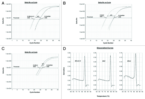 Figure 3. Representative examples of quantitative PCR reaction plots of the target genes BCL2L12 (A), BAX (B), and BCL-2 (C) for chemotherapy subjected AGS cells, accompanied by the dissociation curves of the corresponding PCR products (D). The reference gene (GAPDH) was amplified in parallel to the gene of interest, each time.