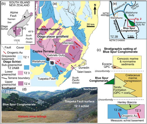 Figure 1. Geological setting for Blue Spur Conglomerate. A, Location map for the Otago placer goldfield on Otago Schist basement, and the Tuapeka Fault Zone (from Bishop & Turnbull Citation1996). B, Location of Otago Schist belt in southern New Zealand. C, Stratigraphic setting for the Blue Spur Conglomerate. D, Geology of the Gabriels Gully historical gold mine in the conglomerate (bedding indicated with dashed lines). E, Location of Waitahuna Gully (Figure 2).