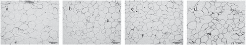 Figure 2. Light micrographs of the tissues of the four apple cultivars