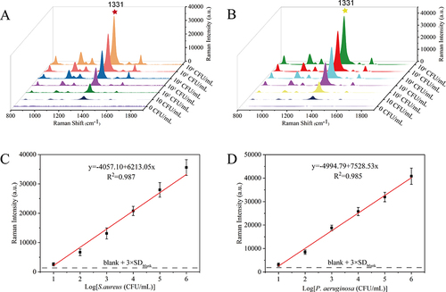 Figure 4 Evaluation of the quantitative detection ability of the SERS biosensor. The recorded SERS spectra for sandwich complexes formed with S. aureus (A) and P. aeruginosa (B) in the concentration range of 10–106 CFU/mL. Corresponding calibration curves of the proposed SERS platform for S. aureus (C) and P. aeruginosa (D). Each spectrum is the average of three independently collected spectra.