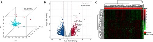 Figure 2. Screening of DEGs. (A) PCA shows that MM samples and healthy controls belong to different subgroups. (B) Volcano plot with cut-off criteria set to adjusted P-value < 0.05 and |log2FC| > 1. Red dots indicate upregulated genes, and blue dots indicate downregulated genes. Arrows indicate the location of the candidate hub genes. (C) Heatmap of the top 100 DEGs according to the values of |log2FC|. DEGs, differentially expressed genes; PCA, principal component analysis; MM, multiple myeloma; FC, fold change.