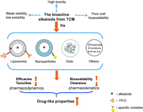 Figure 2. Improvement of drug-like properties of TCM-derived alkaloids via specific drug delivery systems.