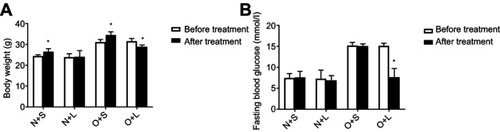 Figure 2 Body weight and fasting blood glucose levels in N+S, N+L, O+S and O+L groups before and after Liraglutide (L) or saline (S) treatment. Data were mean±SD (n=6 each group). (A) BW; (B) FBG level. *p<0.05 for before and after treatment.