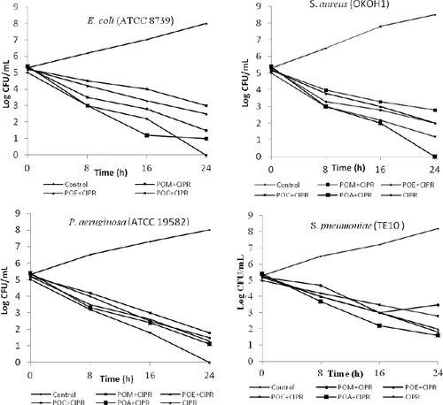 Figure 4. In vitro time–kill effect of extract–ciprofloxacin combinations at sub-inhibitory concentration against bacterial isolates.