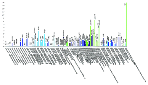 Figure 2 Distribution of ages (ordinate) of 60 HT events (abscissa) of LTR retrotransposons between species of the melanogaster subgroup and with those of the subgenus Zaprionus. The blue bars correspond to HTs between species of the melanogaster subgroup (light blue: within the melanogaster complex, indigo: between the supercomplex melanogaster and dark blue: between the complexes melanogaster, yakuba and erecta). The green bars represent HTs between species of the melanogaster subgroup and those of the genus Zaprionus (light green), and between the Zaprionus species (dark green). The unfilled bars represent the HT between an unknown donor and species of the melanogaster subgroup (black border) or the Zaprionus subgenus (green border). Columns: HT ages according to refs. Citation15, Citation16, Citation43, Citation44, Citation45, Citation46, Citation58, Citation59 and Citation67.