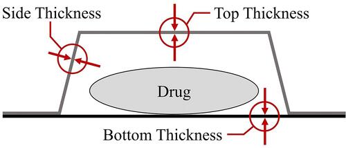 Figure 2 Measured thickness of PTP pockets.