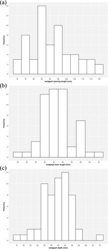 FIG. 14 Range and distribution of wedge-pit sizes in Piggledene: (a) length of wedge-pit openings; (b) length of wedge-pit bases; (c) wedge-pit depth.