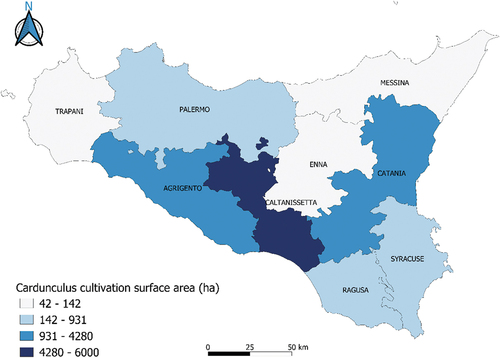 Figure 2. Distribution of cardunculus cultivated surface area within the Sicily region.