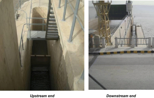 Figure 4. Left side fish ladder at Guddu Barrage (Gate 61).