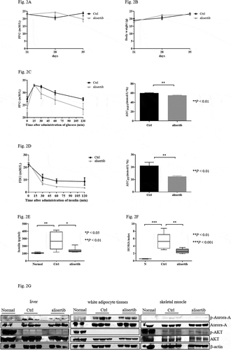 Figure 2. Suppression of Aurora-A improves insulin resistance (IR) in STZ+HFD mice