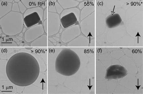 FIG. 2 K2SO4 particles deposited onto a lacey-carbon TEM grid, (a), (b), and (c) are of a different field of view than (d), (e), and (f). Relative humidity was increased from (a) 0% to (d) >90% and then decreased back to 60%. The open black arrow in (c) indicates water uptake prior to deliquescence. Deliquescence occurred at an RH (d) >90% and efflorescence occurred at an RH of (f) 60%. ∗Measurements above 90% are not accurate.