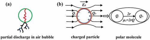 Figure 9. Schematic representation of partial discharges in an air bubble and a charged particle as a polar molecule: Q+ is a positive charge, Q- is a negative charge, Q is total charge, µc is the dipole moment, 2 r is dipole length, and E0 is the electrical field.