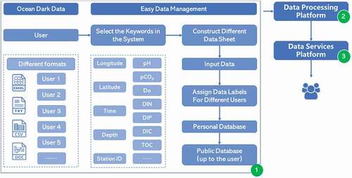 Figure 4. Workflow of ocean dark data management by different users using EasyDM system