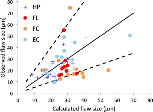 Figure 2. Correlation between calculated and observed flaw sizes for Coltene Brilliant Crios.