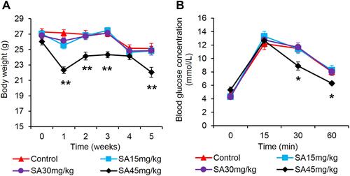 Figure 1 Sennoside A treatment improved OGTT. (A) Bodyweight. (B) Blood glucose at t = 0 min, 15 min, 30 min, and 60 min after the glucose load. Data are presented as the mean ± SEM; n = 12. *P < 0.05 vs the normal control group. **P < 0.01 vs the normal control group.