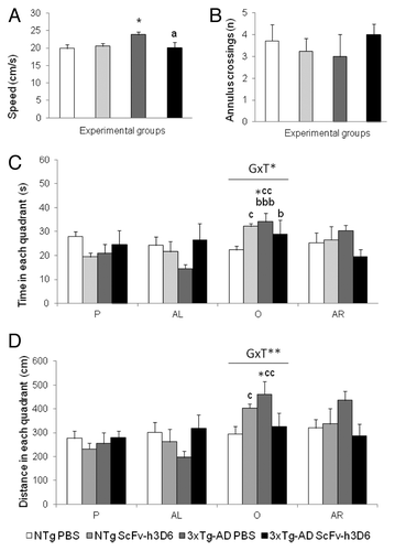 Figure 3. Effects of scFv-h3D6 in the probe trial in the Morris water maze. Results are expressed as means ± SEM. The swimming speed (A) was significantly increased in 3xTg-AD compared with NTg mice and the treatment with scFv-h3D6 reversed this effect to normal swimming speed. The animals did not differ in the number of annulus crossings (B). Genotype per treatment (GxT) effects were found in the preferences shown in the different quadrants of the maze: P (trained quadrant were the platform was previously located), AL (adjacent left), O (opposed) and AR (adjacent right) during the free swim trial in both the time (C) and the distance covered (D). A preference for the opposed quadrant was found in the 3xTg-AD mice but the treatment reduced its statistical significance D. Annulus crossings (number). Statistics: Between groups, ANOVA, Post-hoc Duncan’s or Student t-tests, * p < 0.05 vs the non-treated NTg mice; a p < 0.05 vs the non-treated 3xTg-AD mice. Within groups, paired-t-test, bbb, p < 0.001 and b p < 0.05 O vs P; c p < 0.05 O vs AL.