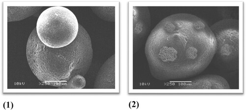 Figure 4. SEM images for a) plain Amberlite IRC-50 polymer and (b) 8-HQ- Amberlite IRC-50 resin.