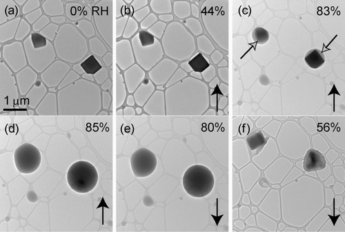 FIG. 1 KCl particles deposited onto a lacey-carbon TEM grid. All images are at the same magnification. The RH was increased from (a) 0% to (d) 85% and then decreased to 56%. Closed black arrows indicate whether the image was obtained as the RH was being increased (↑) or decreased (↓). The open arrows in (c) indicate water uptake prior to deliquescence. Deliquescence occurred at an RH of (e) 85% and efflorescence occurred at an RH of (f) 56%.