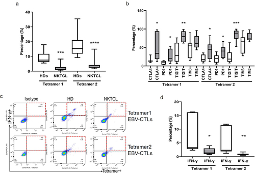 Figure 4. Abnormality of EBV-specific cytotoxic T cells in NKTCL. Percentage of EBV-specific CTLs recognized by two LMP1 epitope in NKTCL patients and HDs (a). IR expression (b) and IFN-γ production (c-d) of EBV-specific CTLs in NKTCL patients and HDs. Gray bars indicate NKTCL patients, blank bars indicate HDs.