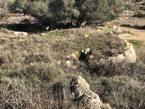 Figure 4. This inconspicuous structure, some 200 metres southeast of the Bēt ˁAṭāb summit and directly on the Roman road (upper right), conceals a cistern that is likely the ˁĒn Bēt ˁAṭāb mentioned in the PEF report (Conder and Kitchener Citation1883, 22). Coordinates: 31o44’2” North, 35ο3’16” East (ITM 205235-626813), middle cyan circle in Figure 1.