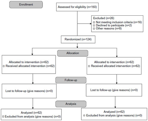 Figure 2 CONSORT flow diagram.