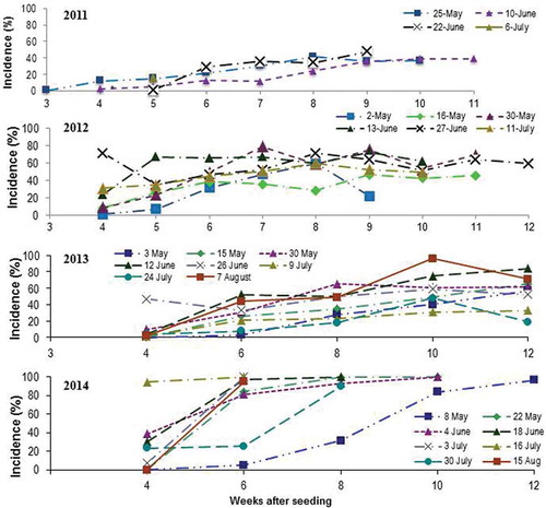 Fig. 1 (Colour online) Clubroot incidence on canola planted at about 2-week intervals in naturally infested muck soil at the Muck Crops Research Station, Holland Marsh, ON in 2011, 2012, 2013 and 2014.