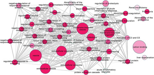 Figure 4. Functional enrichment analysis of RRMS EV unique proteins using Gprofiler.Functional enrichment analysis was performed on the 50 RRMS EV unique proteins using Gprofiler. The size of each node demonstrates more gene terms associated with that node. The darker the colour of the node the more significant these associations are. The line thickness is the ratio of overlap from small to large terms. The majority of the larger nodes are associated with vesicles or extracellular organelles. There are numerous smaller nodes present with associations with processes such as wound healing, regulatory processes and clot formation.