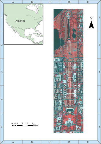 Figure 1. Hyperspectral image of Washington D.C. Mall