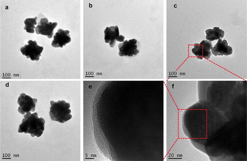 Figure 2. TEM images of AgNPs prepared by the reduction of AgNO3 with reductive compounds from tea leaves. The AgNPs had a distinct uniform interparticle separation. Images of four different preparations T-AgNPs-1 to 4 (A-D). A local area of T-AgNPs-3 was observed at two different magnifications (E, F)