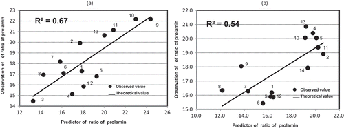 Figure 1. Formula for estimating ratios of 13 kDa prolamin from the iodine absorption curve of milled rice flour.(a). Ratios of 13 kDa prolamin = 157.931 × Aλmax – 28.407. The equation had a multiple regression coefficient of 0.67 based on the calibration. (1, Longdao 18; 2, Longdao 16; 3, Longjing 31; 4, Longjing 46; 5, Longdao 21; 6, Suijing 18; 7, Longjing 3; 8, Suijing 15; 9, Songjing 22; 10, Songjing 16; 11, Hajing 2; 12, Longken 201; 13, Daohuaxiang 4). (b) Examination estimation formula with unknown samples. A multiple regression coefficient of 0.54 was obtained by applying the above formula to the 14 crossbred japonica lines. (1, CJ-6; 2, CJ-7; 3, CJ-10; 4, 2017B6351; 5, 2017C2718; 6, 2017C2728; 7, 2017C2737; 8, 2017C2740; 9, 2017C2765; 10, 2017C2857; 11, 2017C2815; 12, 2017C2819; 13, 2017C2865; 14, 2017C2895).